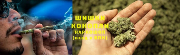дживик Костерёво