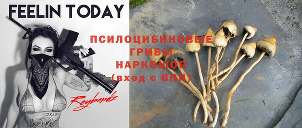 дживик Костерёво