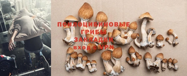 гидра Козельск